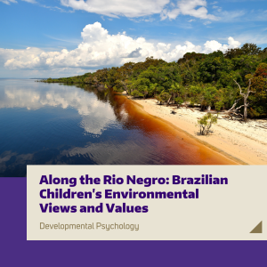 The shoreline of the Rio Negro