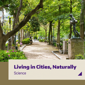 An urban trail lined by shade trees