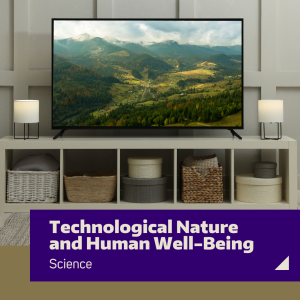 An image of a mountain on a television