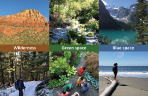 Nature and people in wilderness, green, and blue spaces