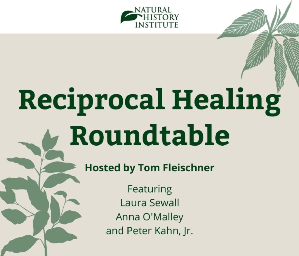 Reciprocal Healing Roundtable Flyer