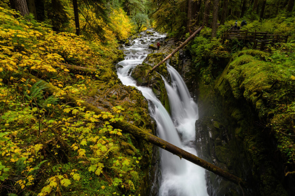 The Sol Duc Falls at Olympic National Park in Washington state. (Kevin Lisota Photo)