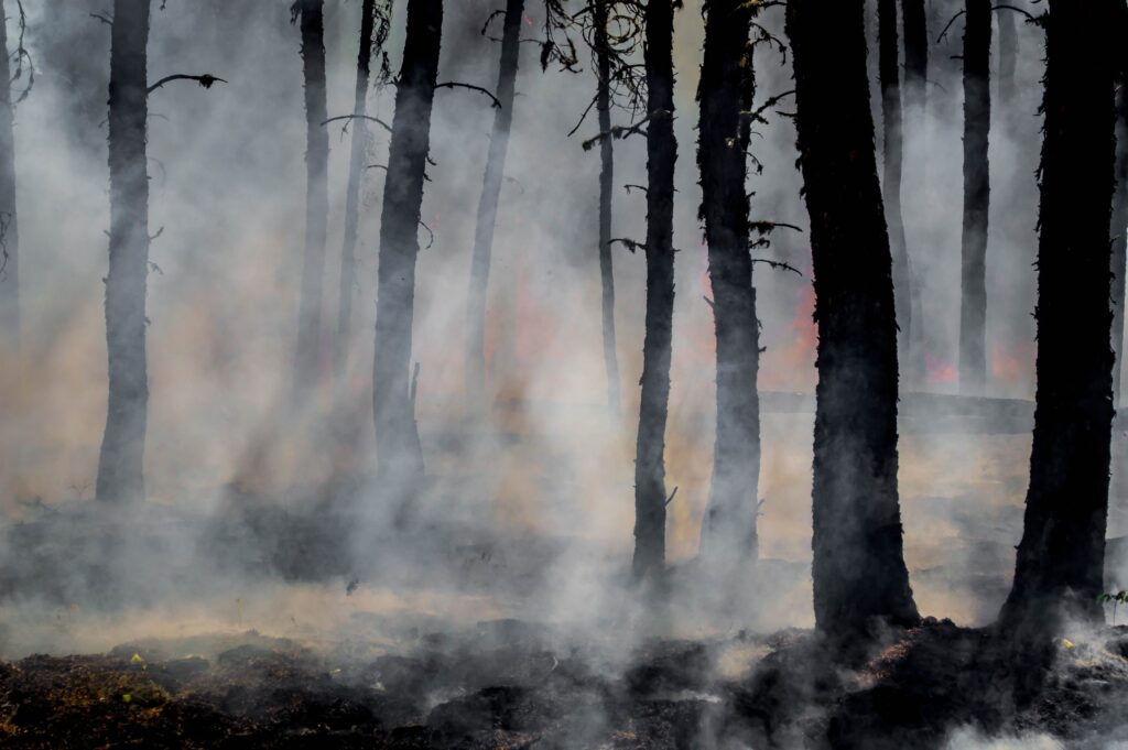Smoke and glowing embers from the Harding Fire in north east Saskatchewan, image by Joanne Francis, Unsplash