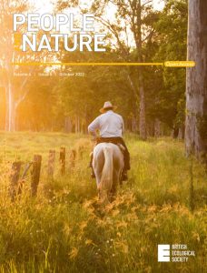 A person rides a horse in a field during sunset
