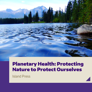A clear water lake surrounded by trees with mountains in the background