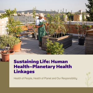 A person gardening on a rooftop