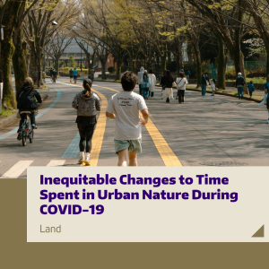 People walking, running, and biking in an urban park