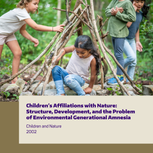 A group of children making a fort with sticks