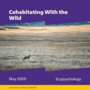 A coyote stands in a large field