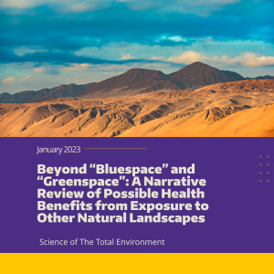 A desert landscape in northern Chile