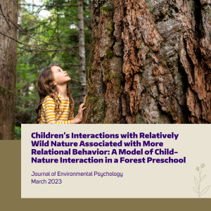 A child touches the bark of a large evergreen tree