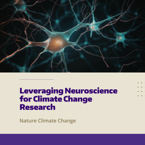 An illustration of neural connections