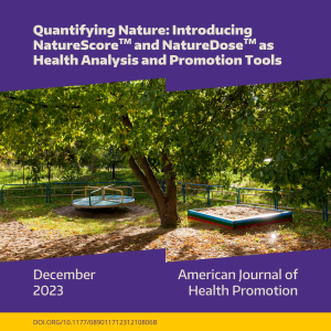 A playground surrounded by mature trees.