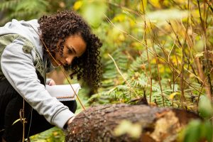 UW Bothell students work on forest ecology at Pleasant Valley Park and in the greenhouse on campus.
