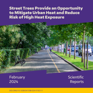 A bike trail, sidewalk, and street lined with trees and bushes