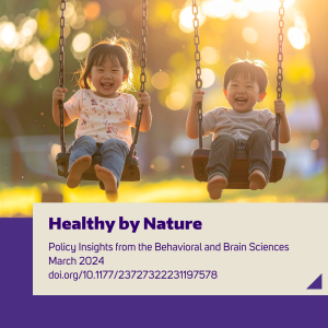 Two children swing in a playground surrounded by trees.