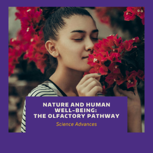 A person smelling red flowers on a tree