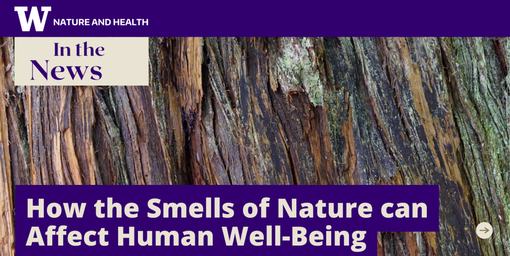 How the Smells of Nature can Affect Human Well-Being