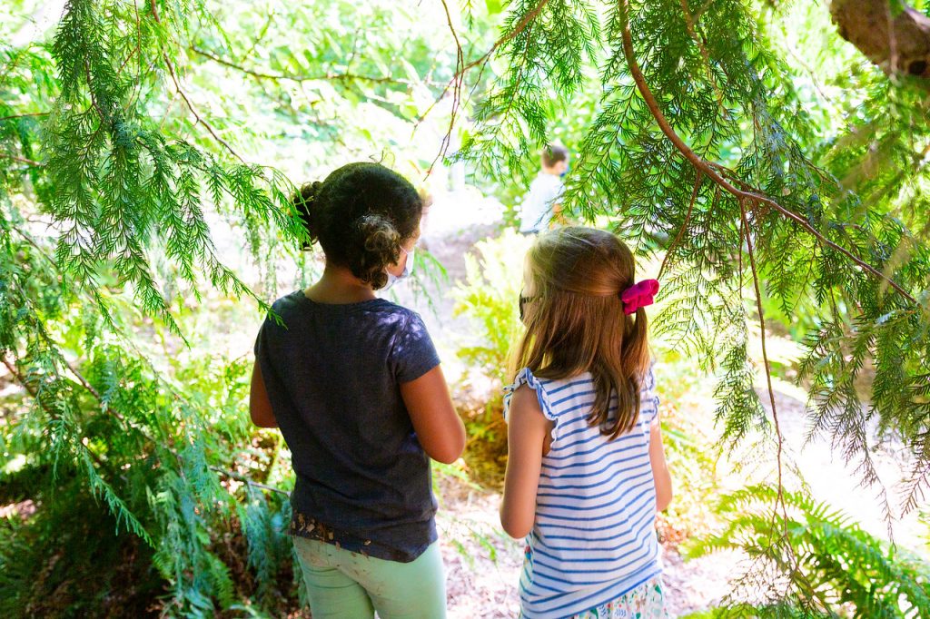 Two children under a Western red cedar tree.
