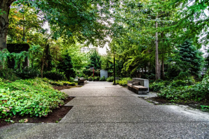 An urban sidewalk lined with trees and plants