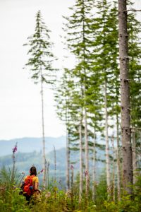 A young adult strolling through a meadow