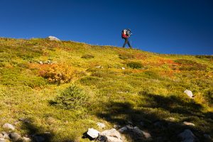 A person hiking on a grassy hill