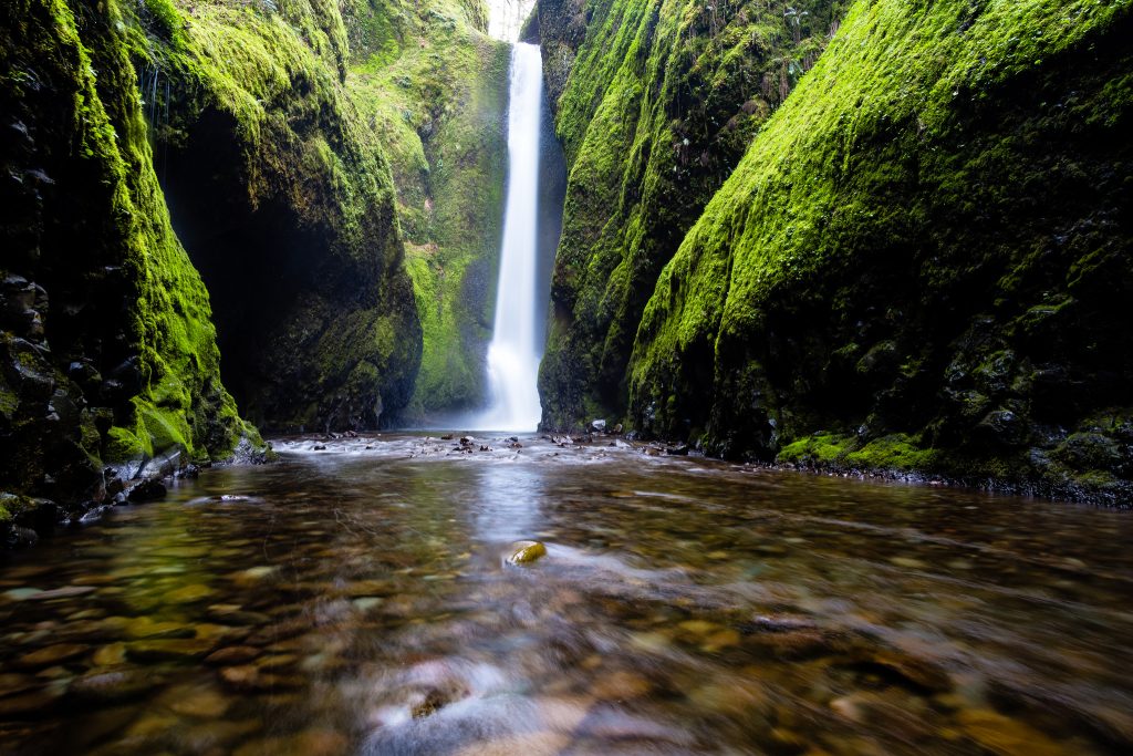 a waterfall surrounded by mossy rocks