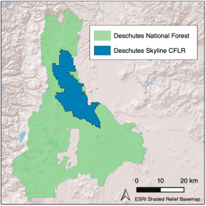 Figure 1. Area within the Deschutes Skyline Collaborative ForestLandscape Restoration Project (in blue) compared with the area of the remainder of the Deschutes National Forest (in green). Map made in QGIS v 3.30.