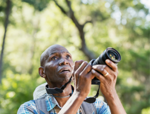 An older man birding in a deciduous forest