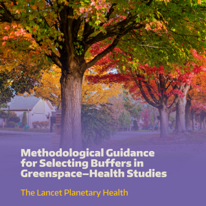 A tree-lined neighborhood with deciduous trees leaves changing to their fall colors