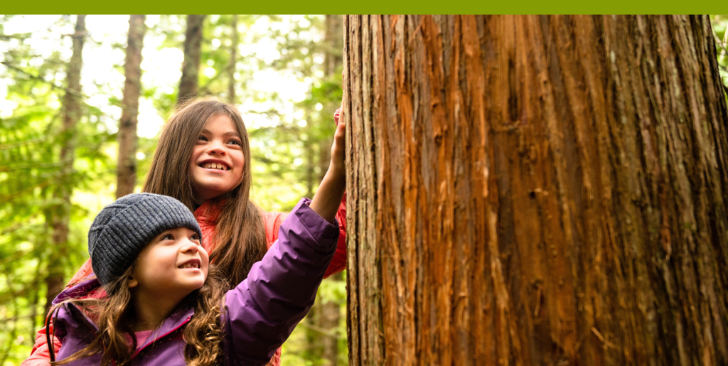 Two children touching a tree in a forest