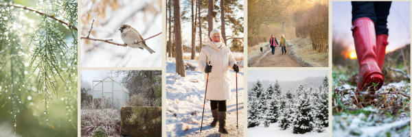 A collage of winter images, including snow, evergreen trees, rain boots, and people bundled up in winter gear and walking outside.