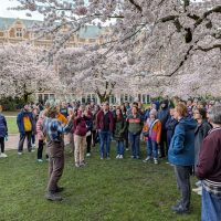 A group of tour participants observing cherry blossom trees on campus while a guide talks