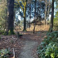 A forested area on campus called Heron Haven
