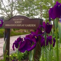 The sign for the entrance of the Soest Herbaceous Display Garden surrounded by purple irises. 
