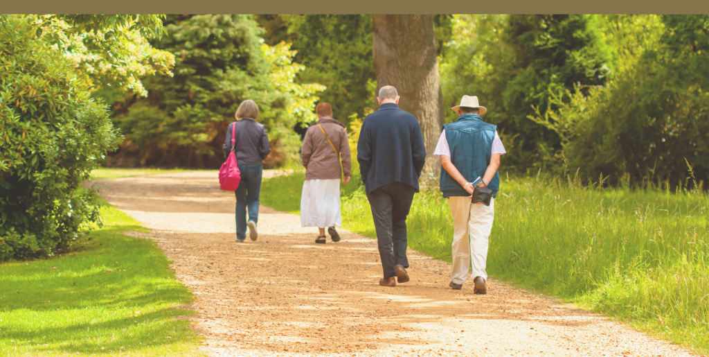 Four people walking along a path in a park