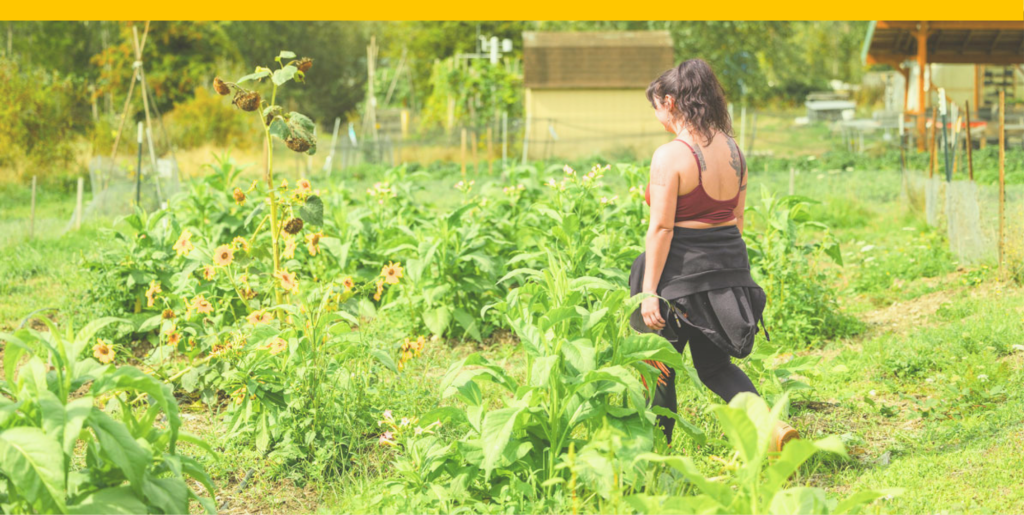 A student gardening at UW Farm