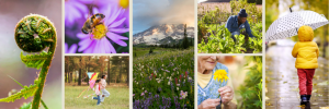 A collage of nature images and people spending time outdoors