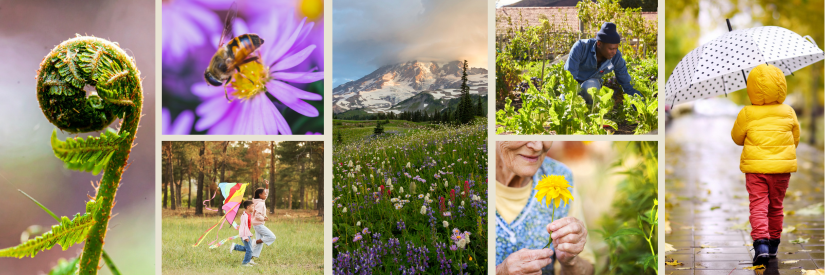 A collage of nature images and people spending time outdoors
