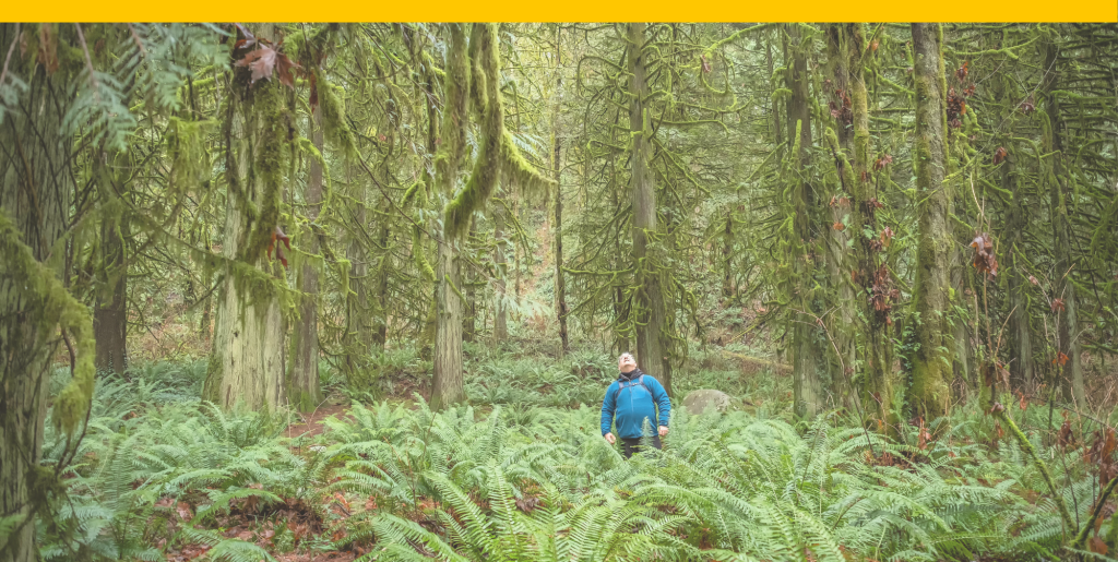A person in the forest looking at trees