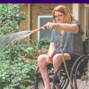 A person in a wheelchair waters their garden