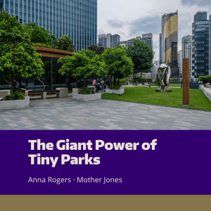 A small urban park with a grassy field and several shade trees
